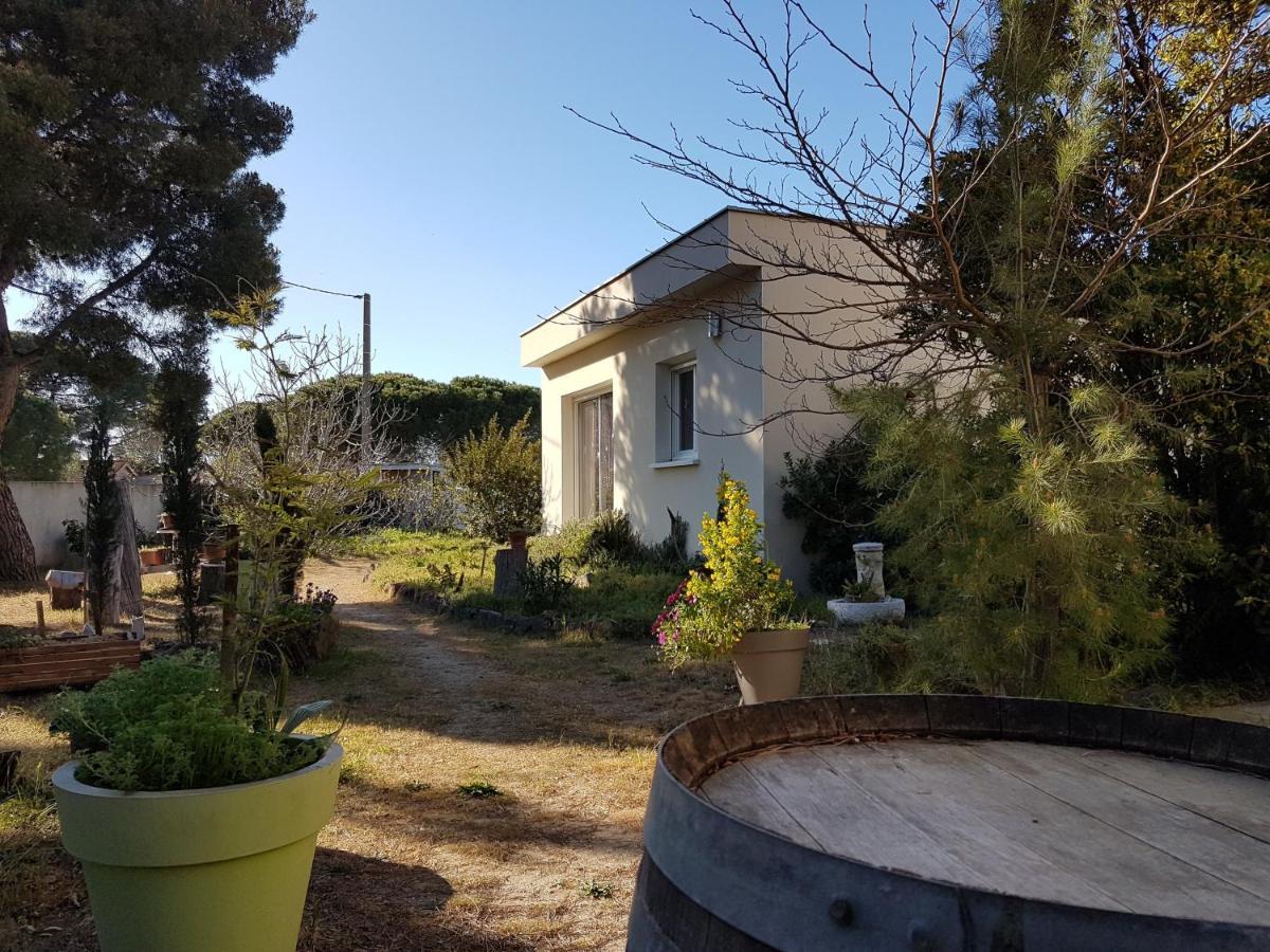 Villa Sunagde, Climatisee, Proche Plage Et Commerces Le Grau-dʼAgde Dış mekan fotoğraf